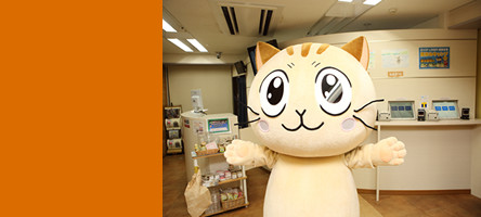 フォトギャラリー