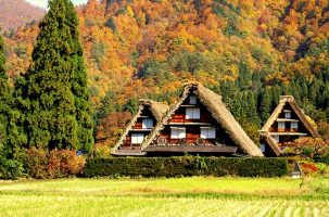 Takayama Shirakawago tour-shirakawa-go